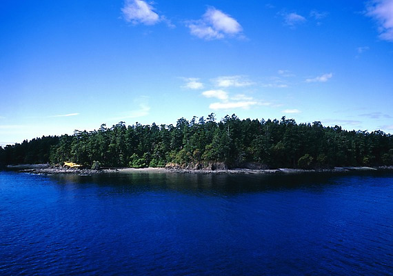 포토 JPG 주간 나무 구름 해외풍경 바다 외국문화 섬 캐나다 북아메리카 자연 하늘 풍경 사람없음 야외 물 관광지 숲 국내포토 자연요소 식물 해외 문화 여행 아메리카 생태계 파일형식