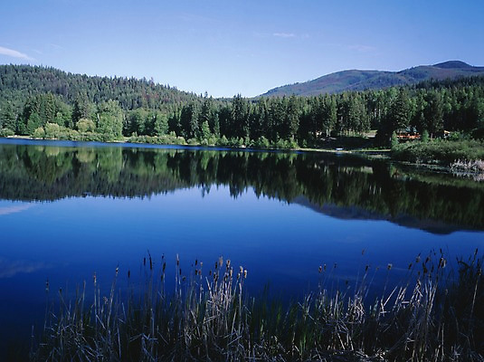 포토 JPG 주간 나무 해외풍경 호수 외국문화 캐나다 북아메리카 자연 하늘 산 풍경 사람없음 야외 관광지 숲 국내포토 자연요소 식물 해외 문화 여행 아메리카 생태계 파일형식