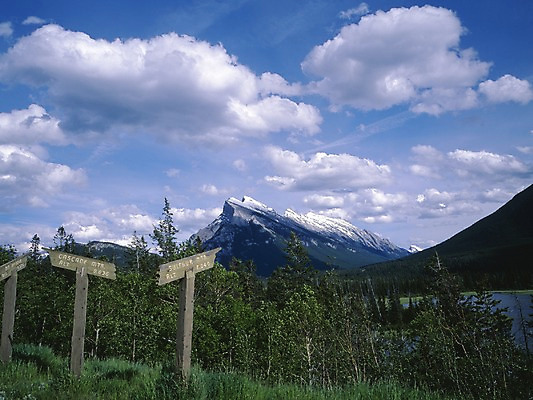 포토 JPG 주간 나무 식물 구름 해외풍경 로우앵글 외국문화 캐나다 북아메리카 자연 하늘 산 풍경 사람없음 야외 관광지 팻말 표지판 국내포토 자연요소 해외 문화 뷰포인트 여행 프레임 알림판 아메리카 생태계 파일형식