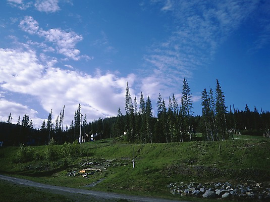 포토 JPG 주간 나무 식물 구름 해외풍경 길 로우앵글 외국문화 캐나다 북아메리카 자연 하늘 풍경 초원 사람없음 야외 관광지 국내포토 자연요소 해외 문화 뷰포인트 여행 아메리카 생태계 파일형식