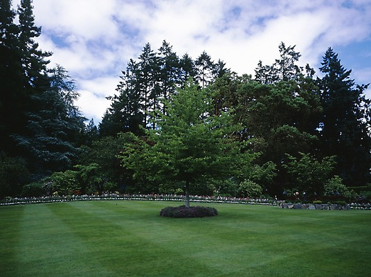 포토 JPG 주간 나무 식물 구름 해외풍경 공원 외국문화 캐나다 북아메리카 자연 하늘 여러그루 풍경 잔디 사람없음 야외 관광지 국내포토 자연요소 해외 공공시설 문화 여행 다수 아메리카 생태계 파일형식