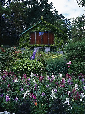 포토 JPG 주간 나무 식물 해외풍경 시설물 공원 현대건축 건축 꽃 외국문화 잎 꽃밭 캐나다 북아메리카 자연 주택 풍경 사람없음 야외 건물 관광지 전원주택 국내포토 자연요소 해외 건축물 공공시설 문화 여행 아메리카 생태계 파일형식