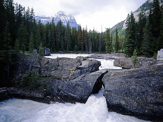 포토 JPG 주간 나무 식물 해외풍경 외국문화 캐나다 북아메리카 자연 산 풍경 사람없음 야외 물 관광지 강 계곡 돌_바위 바위 숲 키킹호스 국내포토 자연요소 해외 문화 여행 아메리카 생태계 파일형식