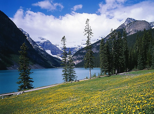 포토 JPG 주간 나무 식물 구름 해외풍경 꽃 길 호수 외국문화 꽃밭 캐나다 북아메리카 자연 하늘 산 풍경 사람없음 야외 관광지 눈 밴프 국내포토 자연요소 해외 문화 여행 날씨 아메리카 생태계 파일형식