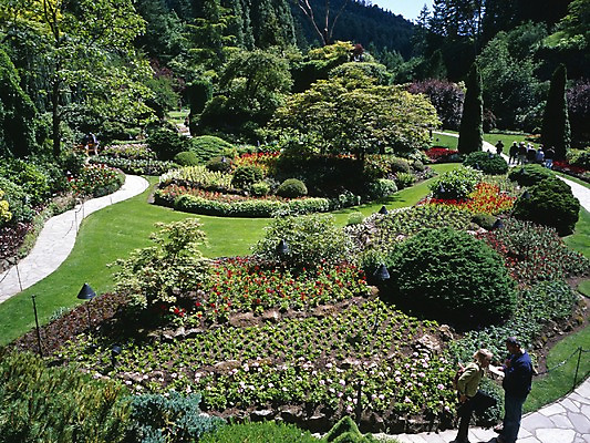 포토 JPG 주간 나무 식물 해외풍경 시설물 공원 현대건축 건축 꽃 길 외국문화 꽃밭 캐나다 북아메리카 자연 사람 풍경 잔디 야외 관광지 벤쿠버 빅토리아섬 국내포토 자연요소 해외 건축물 공공시설 문화 섬 여행 아메리카 생태계 파일형식