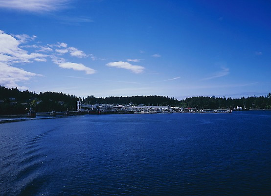 포토 JPG 주간 나무 구름 해외풍경 시설물 현대건축 건축 바다 외국문화 캐나다 북아메리카 자연 하늘 풍경 사람없음 야외 건물 물 관광지 항구 벤쿠버 빅토리아섬 선박 국내포토 자연요소 식물 해외 건축물 문화 섬 여행 수상교통 교통시설 아메리카 생태계 파일형식