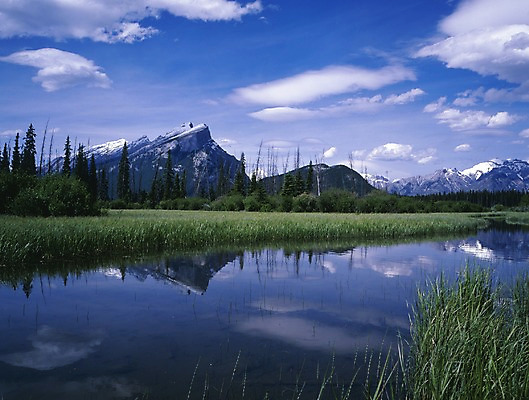 포토 JPG 주간 나무 구름 해외풍경 외국문화 캐나다 북아메리카 자연 하늘 산 풍경 초원 사람없음 야외 물 관광지 풀 습지 국내포토 자연요소 식물 해외 문화 여행 아메리카 생태계 파일형식