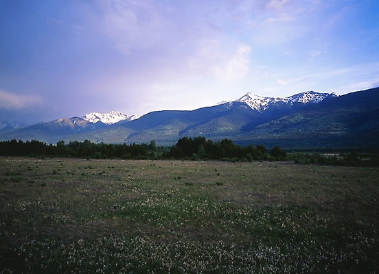 포토 JPG 주간 나무 구름 해외풍경 외국문화 캐나다 북아메리카 자연 하늘 산 풍경 초원 사람없음 야외 관광지 눈 풀 벨마운틴 국내포토 자연요소 식물 해외 문화 여행 날씨 아메리카 미국 생태계 파일형식