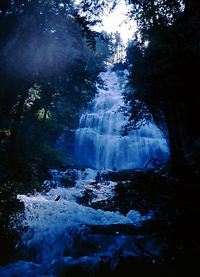 포토 JPG 주간 나무 식물 해외풍경 외국문화 캐나다 북아메리카 자연 풍경 사람없음 야외 물 관광지 폭포 숲 실폭포 국내포토 자연요소 해외 문화 여행 아메리카 생태계 파일형식