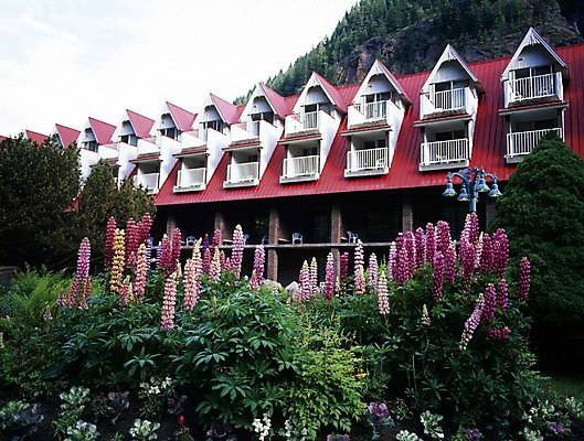 포토 JPG 주간 나무 식물 해외풍경 시설물 현대건축 건축 꽃 외국문화 캐나다 북아메리카 자연 호텔 풍경 사람없음 야외 건물 관광지 숙박업 국내포토 자연요소 해외 건축물 산업 문화 여행 숙소 아메리카 생태계 파일형식