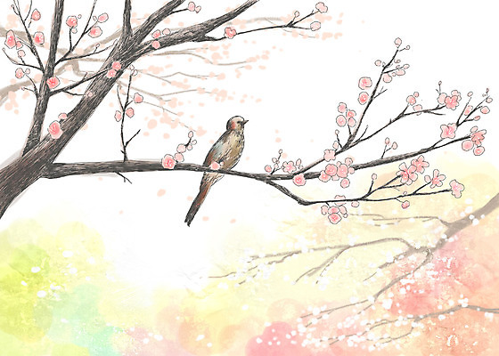 주간 PSD 나무 동물 척추동물 사계절 계절 꽃 백그라운드 일러스트 봄꽃 자연 페인터 조류 수채화 꽃나무 풍경 사람없음 야외 봄풍경 봄 벚꽃 나뭇가지 수제그림 봄배경 국내일러스트 자연요소 식물 페인팅 생태계 파일형식