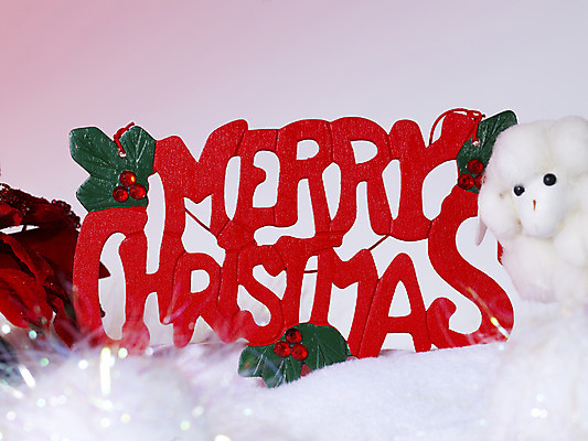 포토 JPG 스튜디오촬영 문자 기호 알파벳 영어 계절 기념일 인형 크리스마스장식 크리스마스 겨울 크리스마스용품 실내 근접촬영 사람없음 장식 눈 양 오브젝트 국내포토 자연요소 뷰포인트 포유류 날씨 이벤트 내부 용품 파일형식