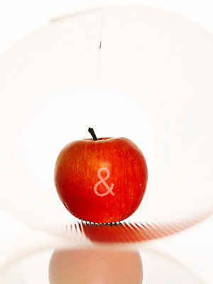 포토 식물 문자 뷰포인트 과일 실내 파일형식 음식 교육 스튜디오촬영 열매 디저트 만유인력의법칙 기호 그림자 바구니 오브젝트 JPG 사람없음 근접촬영 국내포토 사과