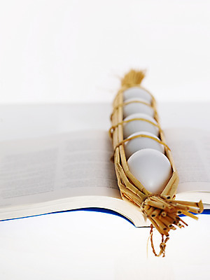 포토 교육 모션 실내 알 신선 짚 파일형식 스튜디오촬영 음식 계란 책 오브젝트 교재 펼침 볏짚 신입 식재료 JPG 사람없음 후레쉬_신선한 국내포토