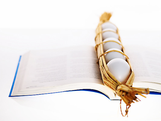 포토 교육 모션 실내 알 신선 짚 파일형식 스튜디오촬영 음식 계란 책 오브젝트 교재 펼침 볏짚 신입 식재료 JPG 사람없음 후레쉬_신선한 국내포토