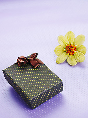 포토 JPG 스튜디오촬영 기념일 꽃 리본 포장 실내 선물포장 선물 이벤트 사람없음 장식 선물상자 상자 오브젝트 포장소품 국내포토 식물 포장재료 파일형식