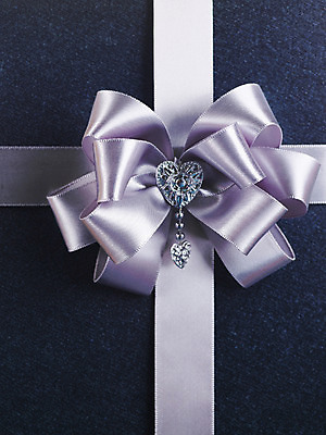 포토 JPG 스튜디오촬영 기념일 리본 포장 실내 선물포장 선물 이벤트 사람없음 장식 상자 끈 오브젝트 포장소품 국내포토 포장재료 파일형식