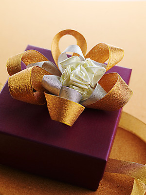 포토 JPG 스튜디오촬영 기념일 리본 포장 선물포장 선물 이벤트 사람없음 장식 선물상자 상자 끈 오브젝트 포장소품 국내포토 실내 포장재료 파일형식