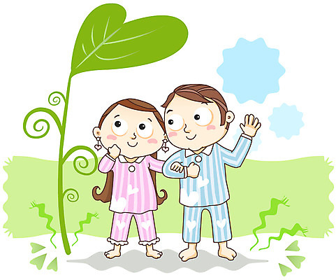 EPS 식물 부부 커플 여자 남자 신부 한쌍 신랑 결혼 잎 일러스트 신혼부부 나뭇잎 사랑 사람 야외 두명 팔짱 잠옷 하트 풀 신혼 커플잠옷 국내일러스트 모양 옷 감정 관계 모션 이벤트 파일형식 벡터