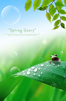 PSD 동물 편집 편집이미지 척추동물 사계절 계절 자연 나뭇잎 개구리 양서류 사람없음 봄 물방울 나뭇가지 풀 풀잎 이슬 공기방울 합성 이미지편집 나무 식물 잎 풀_식물 생태계 파일형식