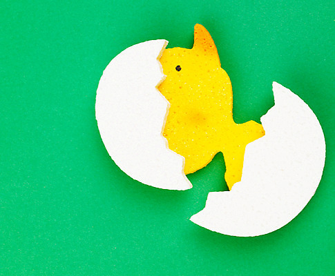 포토 JPG 스튜디오촬영 계절 병아리 사람없음 장식 모형 계란 알 봄 껍질 오브젝트 교구 알껍데기 국내포토 교육 조류 실내 파일형식