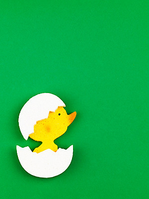 포토 JPG 스튜디오촬영 한마리 계절 병아리 사람없음 장식 모형 계란 알 봄 껍질 오브젝트 교구 알껍데기 국내포토 1 교육 조류 실내 파일형식