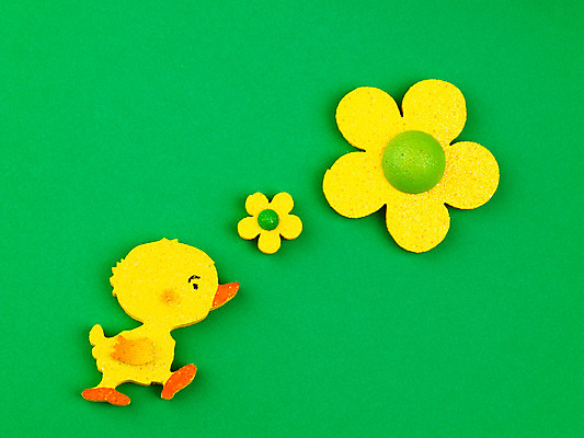 포토 JPG 스튜디오촬영 계절 꽃 병아리 사람없음 장식 모형 봄 오브젝트 교구 국내포토 식물 교육 조류 실내 파일형식