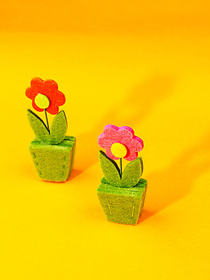 포토 JPG 스튜디오촬영 식물 사계절 계절 꽃 화분 자연 사람없음 장식 모형 봄 오브젝트 교구 국내포토 교육 실내 생태계 파일형식