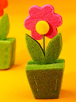 포토 JPG 스튜디오촬영 식물 사계절 계절 꽃 화분 자연 근접촬영 사람없음 장식 모형 봄 오브젝트 교구 국내포토 교육 뷰포인트 실내 생태계 파일형식