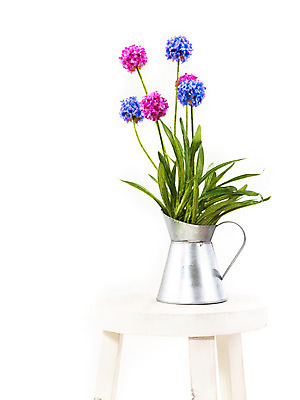 포토 JPG 스튜디오촬영 식물 사계절 계절 꽃 화분 화초 가구 생활용품 의자 자연 누끼 사람없음 장식 인테리어 봄 물뿌리개 오브젝트 국내포토 디자인 실내 생태계 파일형식