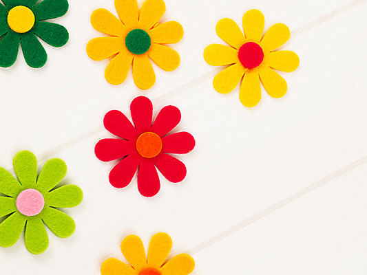 포토 JPG 스튜디오촬영 계절 꽃 사람없음 장식 모형 봄 오브젝트 교구 국내포토 식물 교육 실내 파일형식