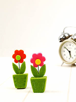 포토 JPG 스튜디오촬영 사계절 계절 꽃 화분 시계 생활용품 자연 사람없음 장식 모형 봄 자명종 오브젝트 교구 탁상시계 국내포토 식물 교육 실내 알람 생태계 파일형식