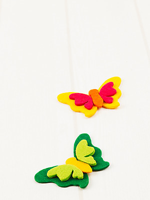 포토 JPG 스튜디오촬영 동물 사계절 계절 나비 곤충 절지류 자연 사람없음 장식 모형 봄 오브젝트 교구 국내포토 교육 실내 생태계 파일형식