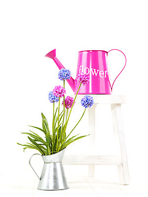 포토 JPG 스튜디오촬영 식물 사계절 계절 꽃 화분 화초 가구 생활용품 의자 자연 주전자 사람없음 장식 인테리어 봄 물뿌리개 오브젝트 국내포토 디자인 주방용품 실내 생태계 파일형식