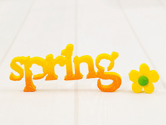 포토 JPG 스튜디오촬영 식물 문자 기호 알파벳 영어 계절 꽃 사람없음 장식 단어 모형 봄 오브젝트 교구 국내포토 교육 실내 파일형식