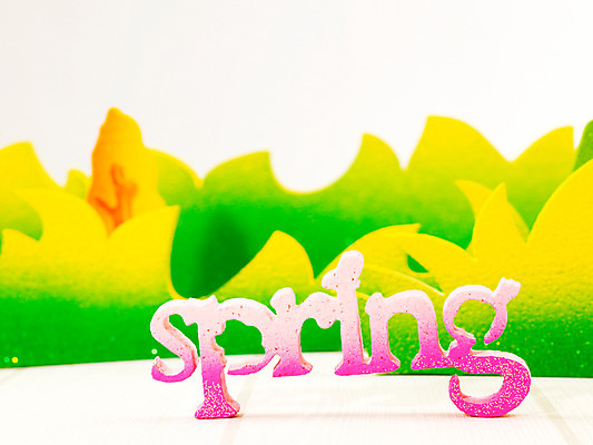 포토 JPG 스튜디오촬영 나무 식물 문자 기호 알파벳 영어 사계절 계절 자연 잔디 초원 사람없음 장식 단어 모형 봄 풀 오브젝트 교구 국내포토 교육 실내 생태계 파일형식