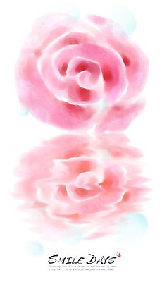 PSD 식물 문자 알파벳 영어 꽃잎 꽃 분홍색 나비 캘리배경 백그라운드 일러스트 캘리그라피 자연 페인터 사람없음 단어 장미 퓨전 퓨전캘리그라피 국내일러스트 컬러 곤충 페인팅 생태계 파일형식