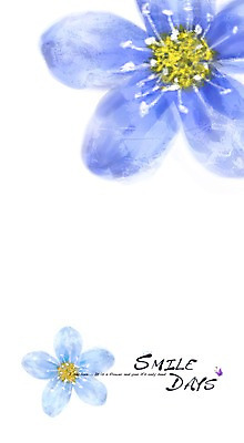 PSD 식물 문자 알파벳 영어 꽃잎 꽃 컬러 나비 캘리배경 백그라운드 일러스트 캘리그라피 자연 페인터 사람없음 파란색 단어 퓨전 퓨전캘리그라피 국내일러스트 곤충 페인팅 생태계 파일형식