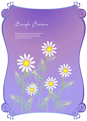 EPS 식물 문자 문양 디자인 알파벳 영어 꽃 컬러 백그라운드 무늬 패턴 꽃백그라운드 일러스트 자연 식물문양 틀 사람없음 사각형 보라색 흰색 벌개미취 국내일러스트 도형 생태계 파일형식 벡터