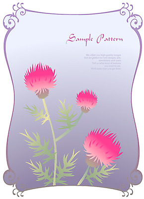 EPS 식물 문자 문양 디자인 알파벳 영어 꽃 분홍색 컬러 백그라운드 무늬 패턴 꽃백그라운드 일러스트 자연 식물문양 틀 사람없음 사각형 보라색 세송이 엉겅퀴 국내일러스트 도형 3 생태계 파일형식 벡터