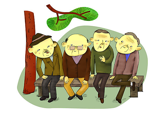 전신 PSD 나무 식물 공원 공공시설 할아버지 노년 남자 벤치 의자 일러스트 휴식 대화 사람 앉기 여러명 사회이슈 사회복지 복지 노인복지 고령화 남자만 성인남자만 노인만 성인만 노인남자만 국내일러스트 가구 다수 컨셉 모션 말하기 성인 시설 파일형식