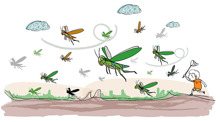 EPS 남자 곤충 밭 일러스트 자연현상 자연 논 한명 사람 20대 성인 야외 환경 피해 공격 자연재해 재해 메뚜기 채집망 메뚜기떼 남자만 남자한명만 성인남자만 청년만 청년남자만 청년남자한명만 성인한명만 성인남자한명만 성인만 국내일러스트 동물 1 농업 모션 청년 생태계 파일형식 벡터