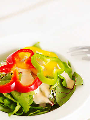 포토 JPG 스튜디오촬영 그릇 접시 음식 채소 식재료 피망 파프리카 사람없음 샐러드 소스 양상추 비트 국내포토 식기 실내 양념 파일형식