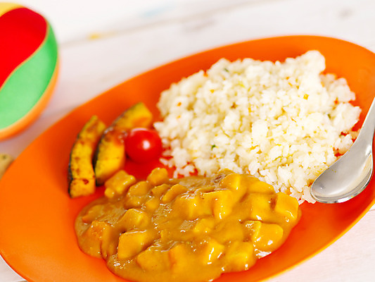 포토 식기 음식 토마토 채소 호박 수저 실내 동양음식 파일형식 접시 요리 숟가락 밥 카레라이스 방울토마토 공 식사 단호박 JPG 사람없음 스튜디오촬영 인도음식 동남아음식 국내포토