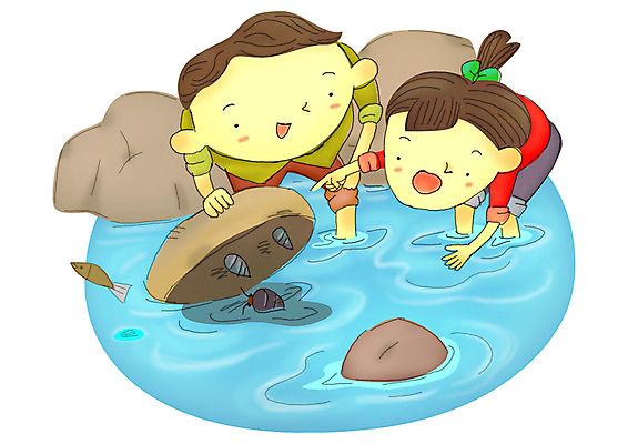 전신 PSD 동물 응시 계절 여자 어린이교육 교육 남자 초등학생 어린이 일러스트 방학 숙이기 여름방학 어류 사람 소녀 소년 야외 두명 여름 친구 돌_바위 조약돌 바위 시골 가리킴 체험 틈 개울 소라 고둥 고기잡이 발견 농촌체험 어린이만 국내일러스트 학생 시선 포즈 컨셉 관계 휴가 어패류 어업 손짓 강 수중동물 체험학습 파일형식 여름_계절