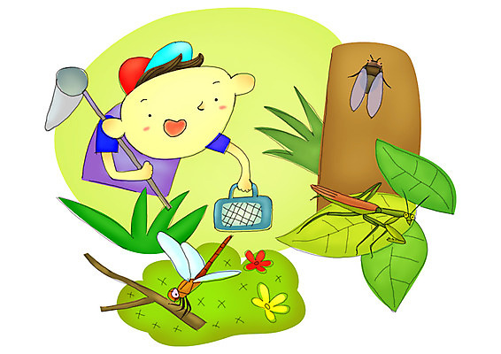 PSD 나무 식물 동물 계절 어린이교육 교육 남자 꽃 초등학생 어린이 곤충 일러스트 자연 방학 나뭇잎 여름방학 한명 들기 사람 소년 상반신 야외 여름 나뭇가지 체험 잠자리 숲 과제 곤충채집 매미 채집망 사마귀 방학숙제 남자만 남자한명만 어린이만 소년만 소년한명만 국내일러스트 1 학생 컨셉 잎 모션 휴가 수집 생태계 파일형식 여름_계절