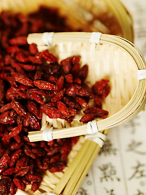 포토 JPG 스튜디오촬영 열매 의학 열쇠 건조 사람없음 치료 약 한의학 약재 한약재 약초 한약 한지 키_도구 말린음식 구기자 국내포토 식물 종이 음식 실내 도구 풀_식물 파일형식