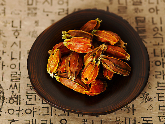 포토 JPG 스튜디오촬영 열매 의학 건조 사람없음 치료 약 한의학 약재 한약재 약초 한약 한지 말린음식 치자 국내포토 식물 종이 음식 실내 풀_식물 파일형식