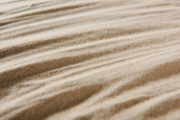 포토 JPG 스튜디오촬영 모래 백그라운드 재질 실내 사람없음 갈색 흙 질감 국내포토 컬러 내부 파일형식