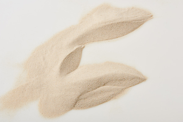 포토 JPG 스튜디오촬영 모래 백그라운드 재질 실내 사람없음 하이앵글 갈색 흙 흰색 흰배경 질감 플랫레이 국내포토 뷰포인트 컬러 내부 플랫 파일형식